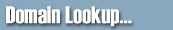 Domain Name Lookup