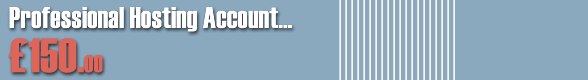 Hosting : Professional Package